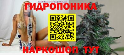 эйфоретик Лесосибирск
