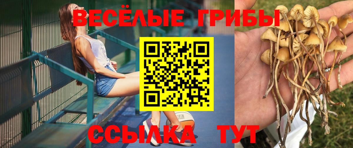 Псилоцибиновые грибы мухоморы  Вход с VPN  Псилоцибиновые грибы мухоморы  Чернушка 