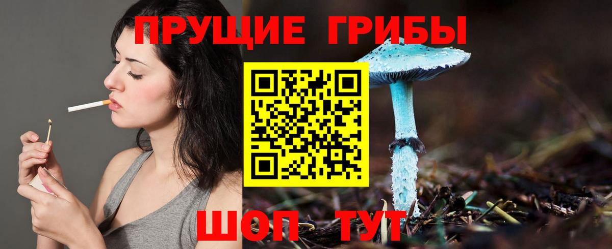 Галлюциногенные грибы MAGIC MUSHROOMS Чернушка